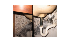 Mold Abatement Service