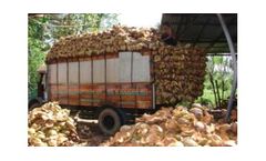 Consistent Quality and Supply