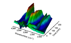 Scientists track chemical changes in cells as they endure extreme conditions