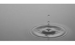 Water Efficiency Services