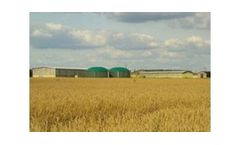 Renewable Energy Services