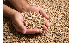Monitors and Analysers for Hydrocarbon & Petrochemical Industries (HPI)  - Biomass to Syngas