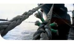 Logistics Services