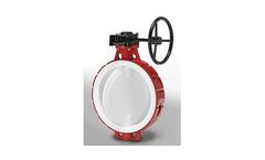 GEFA - Model K16 - PTFE-lined Butterfly Valve