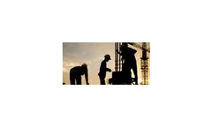 Consulting & Auditing Services