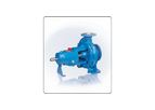 Model RKNS - Chemical Process Pumps