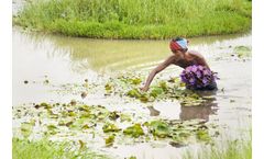 “Revive and Restore Degraded Wetlands”, what will it take?