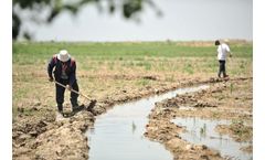 Information meets innovation: Climate data for resilient food value chains in CWANA