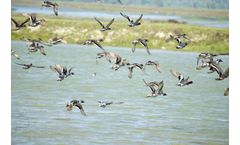 Unlocking the power of water: Seven interventions to transform food systems