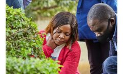 Engaging youth in agripreneurship calls for a shift in the “dirty” industry mindset