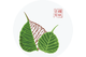 Shanghai Minipore Industrial Co., Ltd.