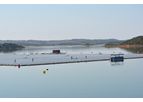 Applied R&D in Marine Renewables Services