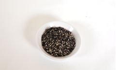 Applied Catalysts - Packed Bed Catalytic Oxidation Spheres