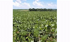 Soy industry adopts environmental safeguards