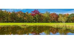 Pond Design, Management, and Maintenance