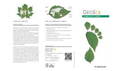 Company Profile