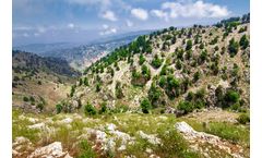 Mediterranean Facility Services