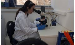 Research & Development Services
