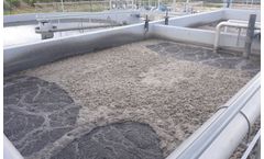 AGAR - Model IFAS - Integrated Fixed-film Activated Sludg