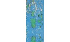 Lead Based Paint