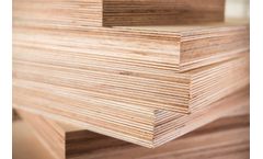 Walnut shells solutions for fillers-extenders sector