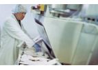 Fish Processing