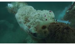Scientific Diving with a New Microsensor Underwater Meter Ikka Fjord, Greenland 2012 - Video