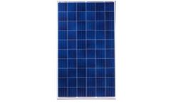 Waratah - Poly Modules