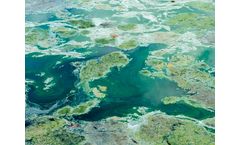 ADS - Harmful Algal Blooms