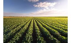Biological processes solutions for plant Health industry