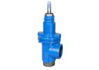 Model 1005 M/F - Screwed Ends Gate Valve