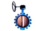 Model 2022 - Lug Butterfly Valve (Gear)