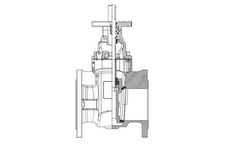 CTV-Armaturen - Model Type 02-F4 - Metal Seated Gate Valve with Bare Shaft Top Flange