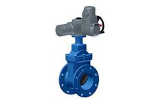 CTV-Armaturen - Model Type 01-F5 - Resilient Seated Wedge Gate Valves
