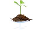 Algenol - Soil Treatment - Biofertilizers and Biostimulants