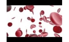 Boronate Fluorescence Quenching Technology used to measure HbA1c in Quo-Test - Video