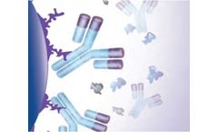 MAbPac - Model HIC-10 - Hydrophobic Interaction Chromatography Phase