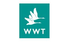 WWT Consulting