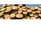 Vapo Wood Energy