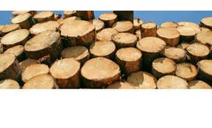 Vapo Wood Energy