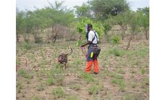SafeLane - Canine Training