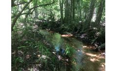 Measuring Ecosystem Metabolism After Stream Restoration