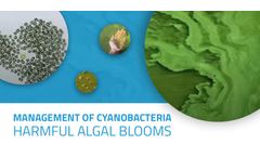 The Cause and Effect of Harmful Algal Blooms