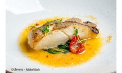 First Certified Reference Material for fish to combat food fraud: EURM-020