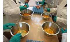 ERM-BB125: a new Certified Reference Material for Fipronil in Egg
