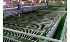 Malmberg - Lamella Sedimentation