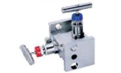 Ankersmid - Robust Manifolds