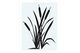 Marshlands Environmental Consulting