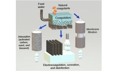 Natural Coagulants/Flocculants: What is The Best for Water Treatment?