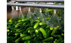 How a Recycling Water System Gives Food and Beverage Companies a Reliable Water Source